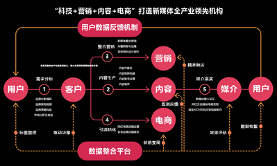 AMO Corp. 愛(ài)茂機(jī)構(gòu)斬獲金網(wǎng)獎(jiǎng)三項(xiàng)大獎(jiǎng)，彰顯數(shù)字內(nèi)容制作服務(wù)在新媒體全產(chǎn)業(yè)鏈中的核心價(jià)值