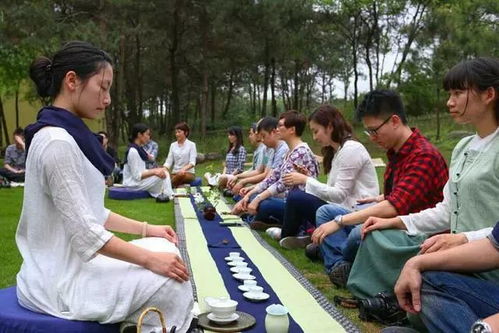 99元暢玩海洋公園 場(chǎng)地與設(shè)施的創(chuàng)新經(jīng)營(yíng)之道