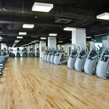 2018年健身器材市場(chǎng)概覽 批發(fā)報(bào)價(jià)與選購(gòu)指南（第六頁(yè)）